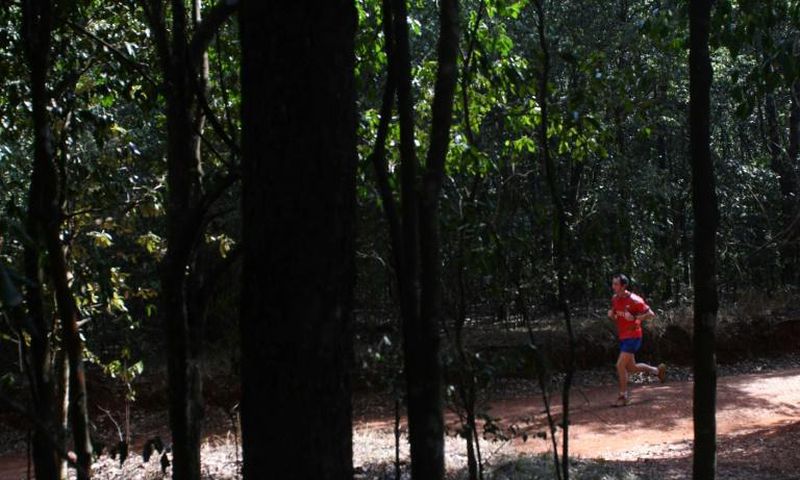 In the space of ten years, Karura forest has gone from a dangerous no man's land to one of Nairobi's safest and most popular destinations
