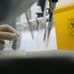 The infection was first confirmed on December 31 in Wuhan, a central Chinese city with a population of over 11 million