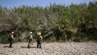 Invasive Grasses May Worsen Wildfires, Study Suggests