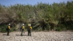 Invasive Grasses May Worsen Wildfires, Study Suggests