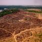 A handout picture released by the Communication Department of the State of Mato Grosso shows deforestation in the Amazon basin in the municipality of Colniza, Mato Grosso state, Brazil, on August 29, 2019