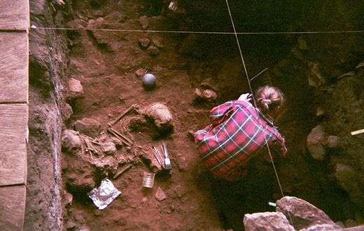 Ancient DNA from West Africa Adds to Picture of Humans' Rise