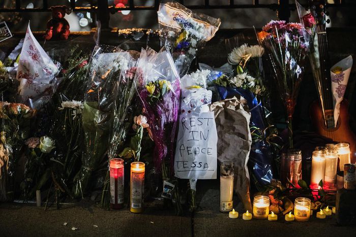 Third Teenager Arrested in Tessa Majors Murder