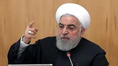 Rouhani appealed for national unity after angry protests in Iran over the accidental downing of a Ukrainian airliner
