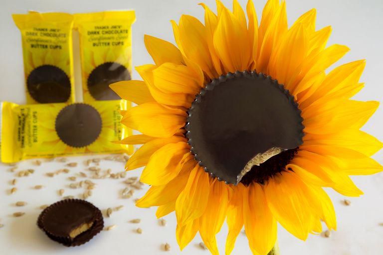 27 Trader Joe’s Snacks That Are Absolutely Worth The Hype