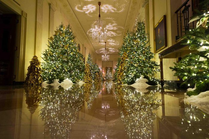 6 Takeaways From Melania Trump's Unauthorized Biography