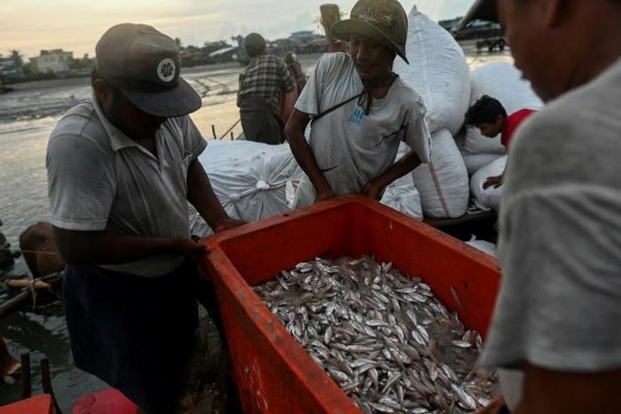 Aung Gyi is forced to fish covertly under the shroud of night in western Myanmar waters -- China may be trying to transform the strategically key region into a shipping and industrial hub -- but locals and activists fear they are being left out of the ...