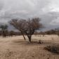 Namibia's government is impatient with the slow pace of land redistribution
