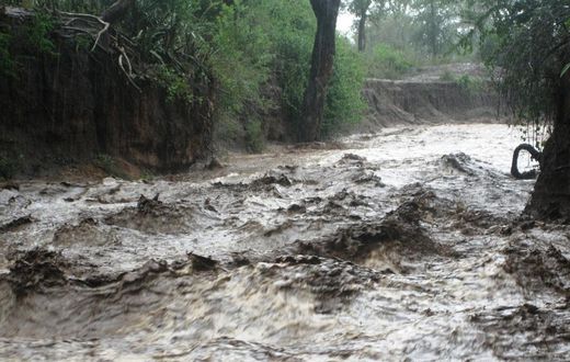 4 children drown after heavy rainfall