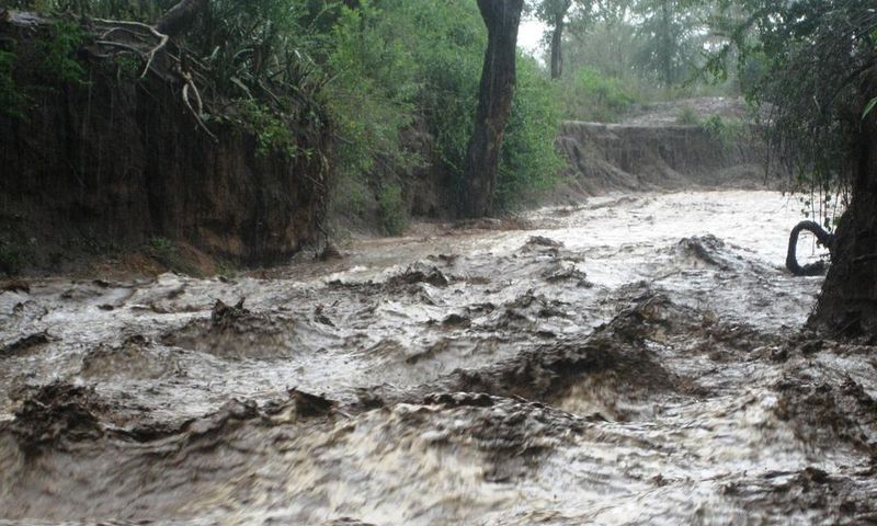 4 children drown after heavy rainfall