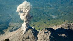 Dr. Pimple Popper Pops Giant Blackhead