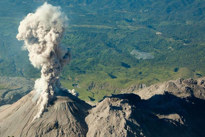 Dr. Pimple Popper Pops Giant Blackhead