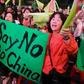Supporters of Taiwan's President Tsai Ing-wen from the ruling Democratic Progressive Party (DPP) want the island to resist pressure from China