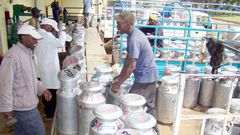 New milk prices announced