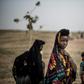 The Fulani are pastoral herders who migrate with their cattle, following the pendulum swing of the seasons