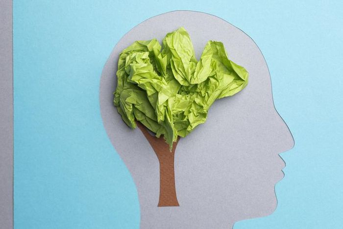 Dr. Pimple Popper Extracts 'Brain' Lipoma