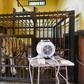 Zoo authorities in Assam put heaters in tiger enclosures to keep animals warm