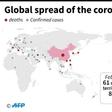 Countries and teritories with confirmed cases of the new coronavirus as of February 29 at 17:00 GMT.