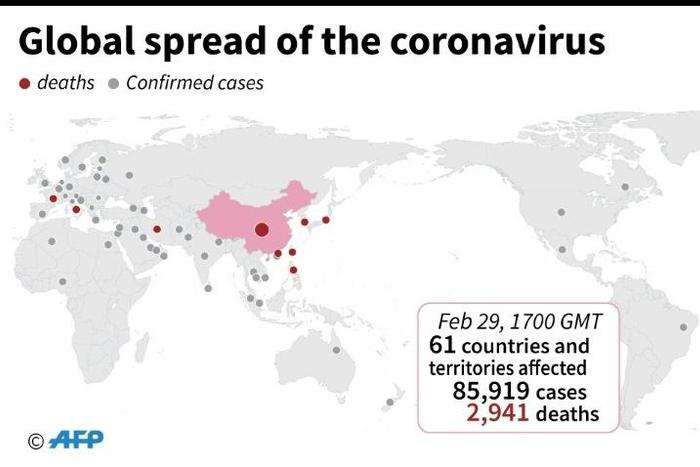 Countries and teritories with confirmed cases of the new coronavirus as of February 29 at 17:00 GMT.