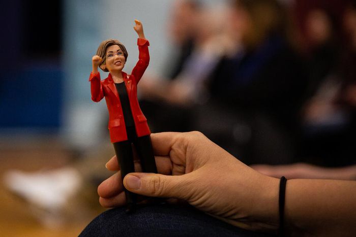 Elizabeth Warren Is Ready for a Fight