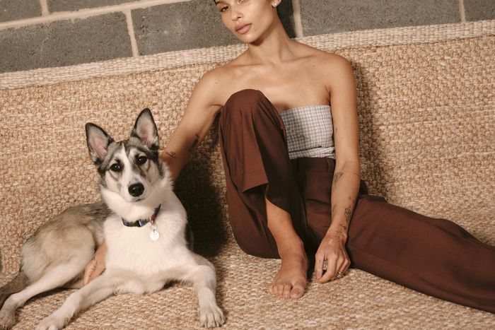 Sooner or Later, Zoe Kravitz Was Going to Be a Star