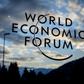 Some 50 heads of government and state are expected to attend Davos along with representatives of big business and Swedish eco-campaigner Greta Thunberg
