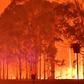 Smoke from bushfires has blanketed large parts of Australia