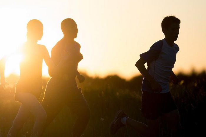 5 Hacks to Stick to Your New Year's Resolutions