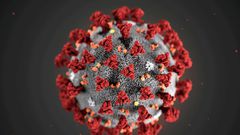 FILE PHOTO: The ultrastructural morphology exhibited by the 2019 Novel Coronavirus (2019-nCoV), which was identified as the cause of an outbreak of respiratory illness first detected in Wuhan, China, is seen in an illustration released by the Centers f...
