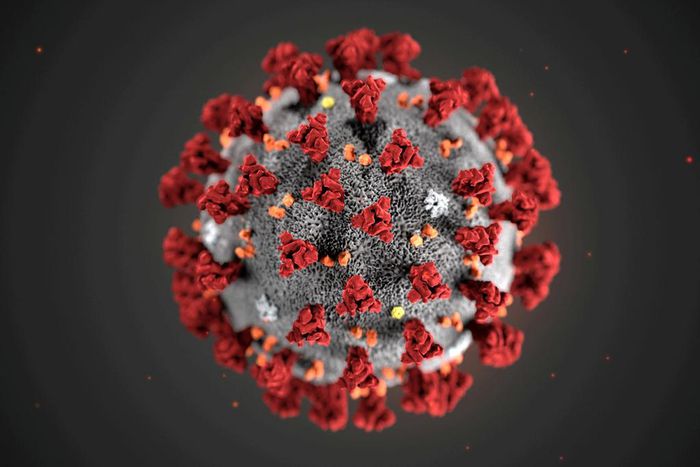 FILE PHOTO: The ultrastructural morphology exhibited by the 2019 Novel Coronavirus (2019-nCoV), which was identified as the cause of an outbreak of respiratory illness first detected in Wuhan, China, is seen in an illustration released by the Centers f...