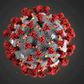 FILE PHOTO: The ultrastructural morphology exhibited by the 2019 Novel Coronavirus (2019-nCoV), which was identified as the cause of an outbreak of respiratory illness first detected in Wuhan, China, is seen in an illustration released by the Centers f...