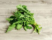 20 Keto-Friendly Vegetables That Are Incredibly Low-Carb