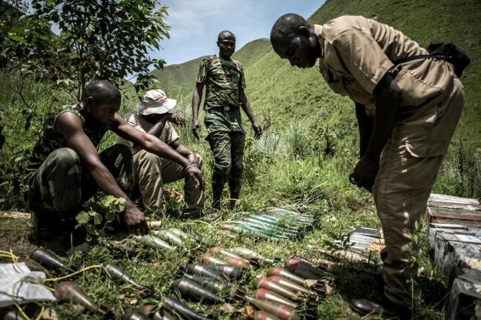 The DR Congo military operation against Rwandan Hutu rebels in the east of the country has been welcomed by neighbouring Rwanda