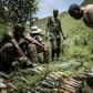 The DR Congo military operation against Rwandan Hutu rebels in the east of the country has been welcomed by neighbouring Rwanda