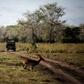 The Gorongosa National Park has seen wildlife return after Mozambique's civil war
