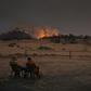 Volunteer firefighters watch as a bushfire rages on the outskirts of the town of Tumbarumba in New South Wales