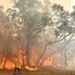 A record heatwave in Asustralia threatens to exacerbate an already unprecedented bushfire season