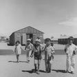 California Plans to Apologize to Japanese Americans