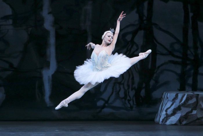 At New York City Ballet, Swans Use Grit to Find Glory