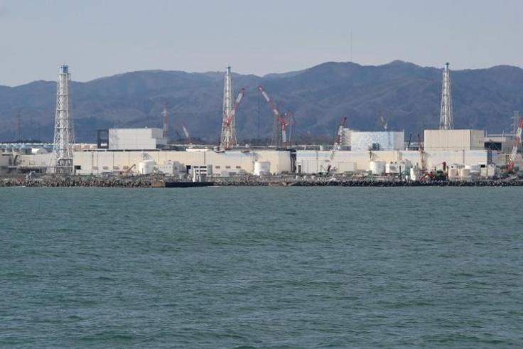 Clean-up efforts at Japan's Fukushima nuclear power have reduced adiation levels in some areas by 80 percent but forested land remains untouched and is a potential source of contamination for years to come
