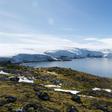 Lichens in Collins Bay on the Antarctic Peninsular in February 2018