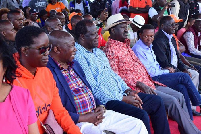 Fiery Jubilee MP from Rift Valley MP makes surprise appearance at Raila’s Kibra rally [Photos]