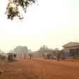 The dusty diamond trading hub of Bria has been ravaged by violence