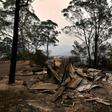 The scale of this year's bushfire devastation has been widely described as unprecedented