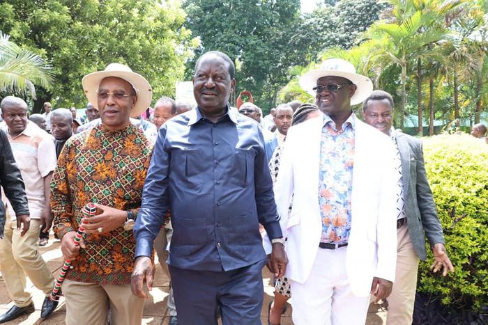 Interruption as some delegates demand for Raila Odinga to be kicked out of BBI Mt Kenya meeting in Meru