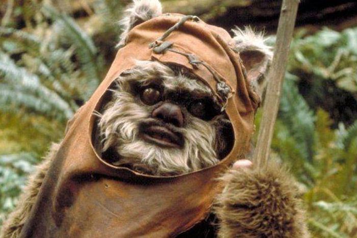 Ewoks Might Return in 'The Rise of Skywalker'