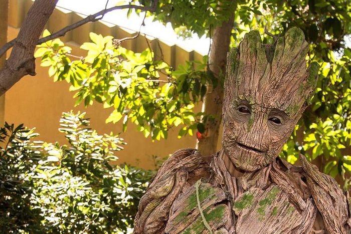 Dr. Pimple Popper Extracts 'Baby Groot' Lipoma