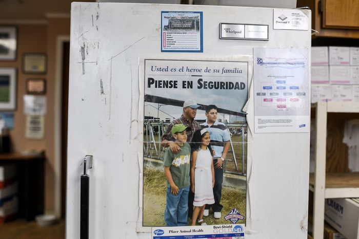 A Mexican Exodus Is Helping Shrink the Population of People in the Country Illegally