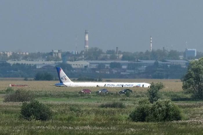 the Ural Airlines Airbus The A321 flying to Crimea hit a flock of seagulls shortly after take-off from Moscow's Zhukovsky airport