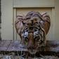 Gogh, a male tiger, is seen in his temporary enclosure at the zoo in Poznan, Poland, on November 6